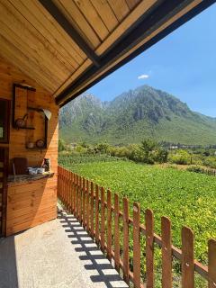 Guesthouse Driti - 8