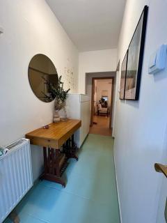 Spacious condo near city center - Koliba - 7