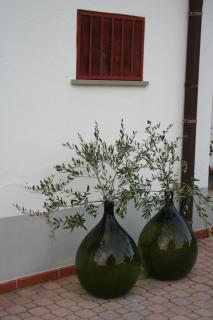 Casa Amrita B&B - 4