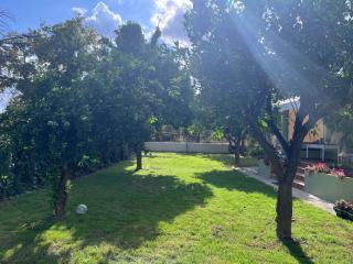 Pelion Malaki- Casa Verde - Malaki - 7
