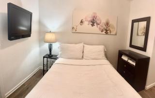 3 Bedrooms Florida Sunshine - 3