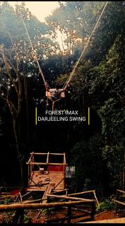 Forest IMAX - Darjeeling - 6