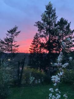 Doppelzimmer mit neuem Bad und Sportpool-Nutzung außen, Villa Naturpark, Garten mit Rheinblick - 1