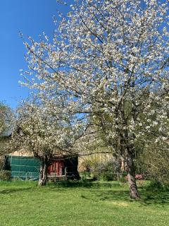 la yourte du moulin - Champrond - 1