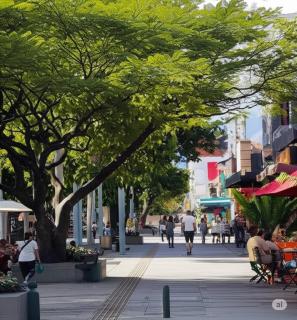Apartamentos en Zona Rosa de Laureles - Medellín - 9