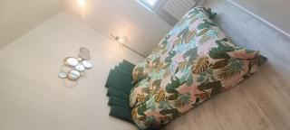 Appartement T2 style tropical tout confort CENTRE VILLE - 3