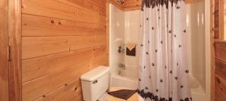 American Spirit - Sevierville - 5