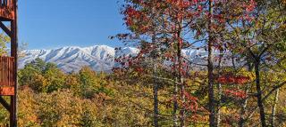 Eagles View Lodge - 9