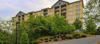 Mountain View Condo 1501 - 0