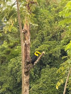 Cabaña con jacuzzi privado Lago de Sol - 2