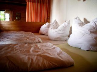 Ferienhaus Seeblick in Goyatz, cleaning included - Goyatz - 9