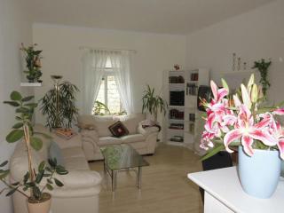 2 Norit Schlosser Comfortable holiday residence - Heidenau - 9