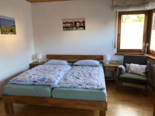 Ferienwohnung Stadtlandfluss - Kehl am Rhein - 9