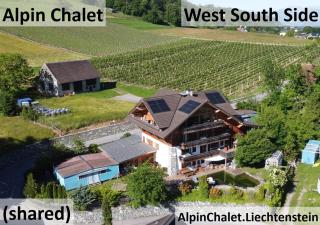 Alpine Chalet L iechtenstein - 3