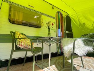 Cute little caravan for 2 in old orchard - 0