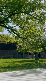 Cute little caravan for 2 in old orchard - 1