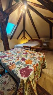 Apartment By the River - Niš - 3
