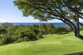 Keauhou Akahi 312 - 5