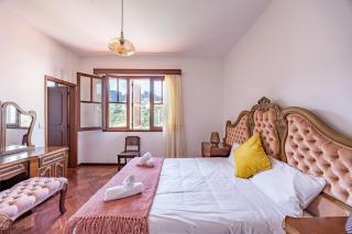 Silva Retreat Villa - 1