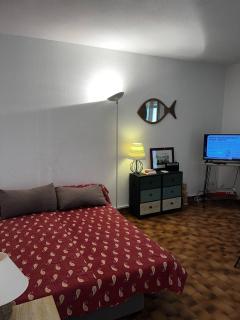 5CANETP36 –T2 avec clim, loggia et vue Marina, à deux pas de la plage - 1