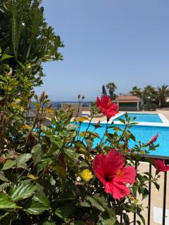 Sun Studio Tenerife - Arona - 9