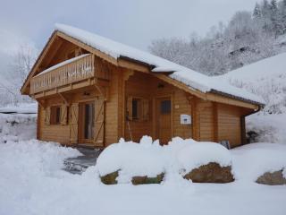 Les Noisettes - La Bresse - 0