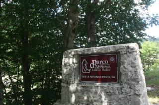 Dimora del Capriolo - 2