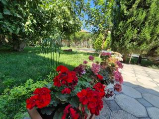 Green Garden Shuvelan - Baku - 9