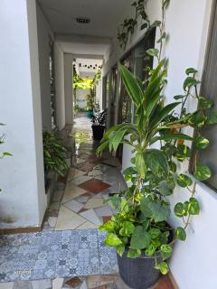 Blvd2rec - Cedro - 8