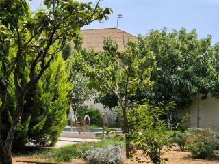 Green Garden Shuvelan - Baku - 7