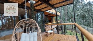 Chalet nordico enmedio del bosque - Mineral del Monte - 8
