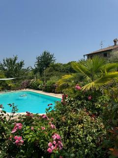 Agriturismo La Valle Dimenticata - Urbania - 9