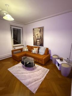 Chill and Tranquil in St Johann near Novartis Campus - Basilea - 1