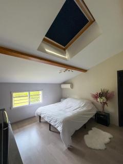 Chambre Léandre - Montauban - 0
