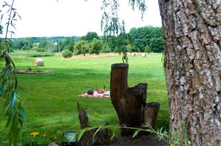 Gîte en pleine nature - Docelles - 6