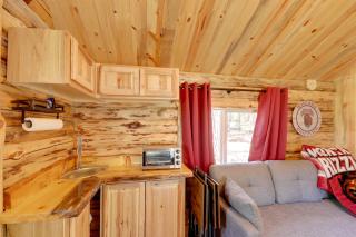 McGregor Lake Access Cabin in Wooded Wilderness - Marion - 2
