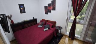 Lux Apartman Stojanović - 1