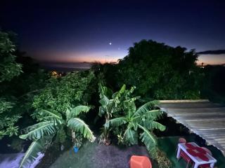 Chez Coco et Fredo - 6