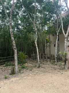 Sak lool Tulum - 7
