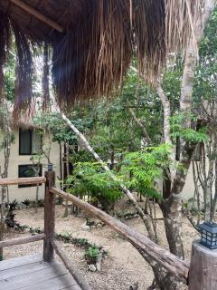 Sak lool Tulum - 5