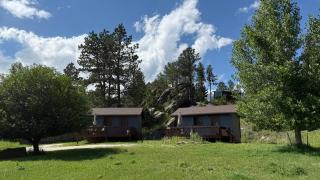 Cozy little pet-friendly cabin - 8