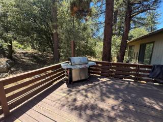 Quail Run Cabin 4,000 Sq.Ft Largest & Most Beautiful House On The Mountain - Pine Mountain Club - 1