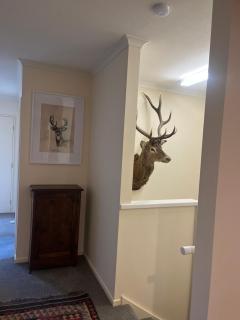 Tipapa Deer Park Lodge - - 1