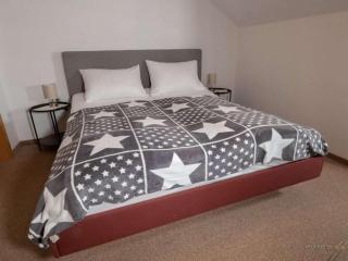 Holiday Apartment in Mittelberg with Wifi - Mittelberg - 6