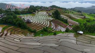 MonNaPaBongPiang Homestay ม่อนนาป่าบงเปียง โฮมสเตย์ - 5