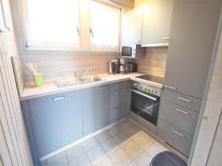Ferienhaus mit besondere Ausstattung - 1