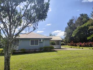 Fetu'umoana Holiday Home - - 1