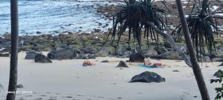 Puri Ma'u Beach & Bungalows - 3