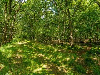 4 person holiday home in Hampen - 1