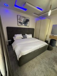 Cozy Modern 3 Bedroom Penthouse - 3